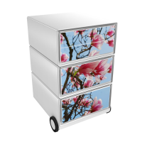 Pedestal 4 drawers