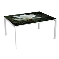Meeting table 6 p