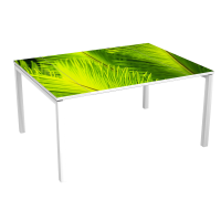 Meeting table 6 p