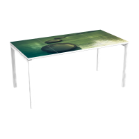 Desk 63"
