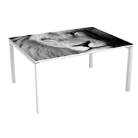 Meeting table 6 p